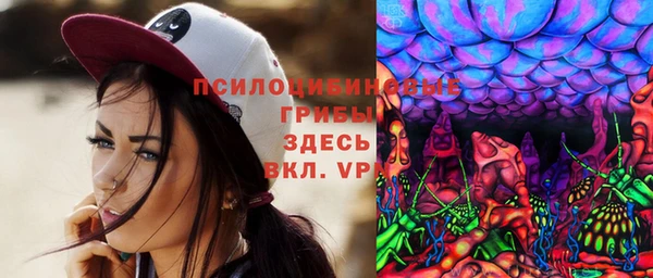 ГАЛЛЮЦИНОГЕННЫЕ ГРИБЫ Алексеевка