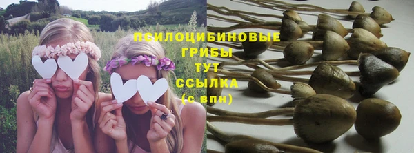 гашик Алзамай
