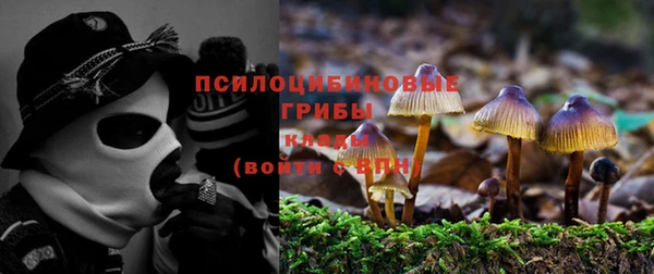 гашик Алзамай